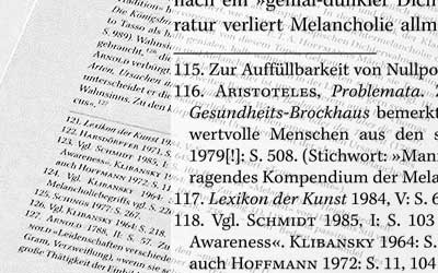 Muster Literaturwissenschaft Detail