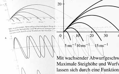 Muster Schulbuchverlag Lösungsband Detail